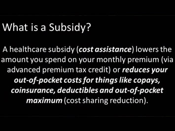 What is a Subsidy Explained